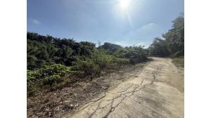住商不動産台南公園加盟店 - 龍崎低總價2.5分農保地(C)